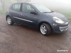 Używany 2006 Renault Clio III Sedan/Limuzyna | 4990 zł (Uczciwa cena)
