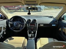 Czarny Używany 2007 Audi A3 Ambiente Hatchback | 14 950 zł (Uczciwa cena)
