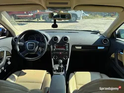 Czarny Używany 2007 Audi A3 Ambiente Hatchback | 16 950 zł (Uczciwa cena)