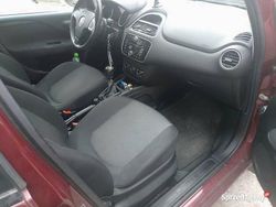 Czerwony Używany 2014 Fiat Punto Hatchback | 17 800 zł (Dość drogi)