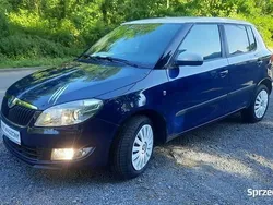 Używany 2011 Skoda Fabia | 18 900 zł (Dość drogi)