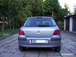 Używany 2003 Peugeot 307 | 4000 zł (Uczciwa cena)