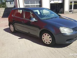 Używany 2004 VW Golf V | 5000 zł (Uczciwa cena)