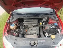 Używany 2009 Seat Ibiza | 12 999 zł (Dość drogi)