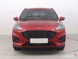 Czerwony Używany 2022 Ford Kuga SUV | 91 999 zł (Uczciwa cena)