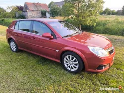 Czerwony Używany 2007 Opel Signum Kombi | 11 800 zł