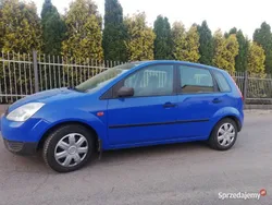 Używany 2003 Ford Fiesta Hatchback | 5300 zł (Dość drogi)