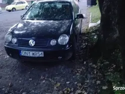 Używany 2003 VW Polo | 2500 zł (Uczciwa cena)