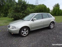 Złoty Używany 2003 Audi A3 Hatchback | 11 500 zł (Uczciwa cena)