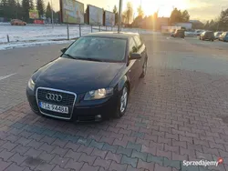 Używany 2006 Audi A3 Performance | 17 700 zł (Dość drogi)