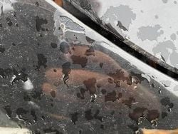 Używany 2008 Audi A4 | 11 000 zł (Super Cena)