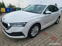 Biały Używany 2020 Skoda Octavia Sedan/Limuzyna | 45 888 zł (Uczciwa cena)