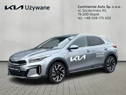 Szary (metalik) Używany 2024 Kia XCeed 2 SUV | 112 900 zł