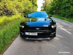 Używany 2016 Ford Mustang GT Performance Edition | 112 000 zł (Drogi)