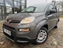 Szary Używany 2023 Fiat Panda Cross Cross Hatchback | 43 900 zł