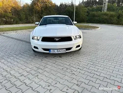 Używany 2011 Ford Mustang Premium | 51 900 zł (Dość drogi)