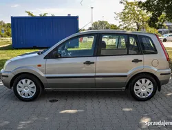Używany 2003 Ford Fusion | 3900 zł (Super Cena)