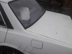 Używany 1987 Peugeot 505 | 3000 zł