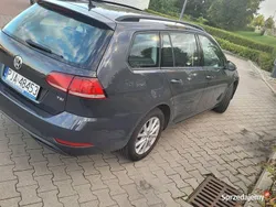 Używany 2017 VW Golf VII | 36 900 zł (Uczciwa cena)
