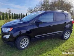 Używany 2020 Ford Ecosport SUV | 66 000 zł (Uczciwa cena)