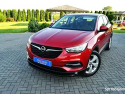 Bordowy Używany 2018 Opel Grandland X SUV | 55 900 zł (Dość drogi)