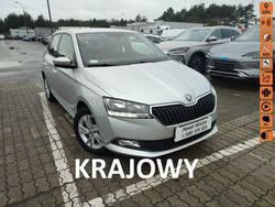 Srebrny (metalik) Używany 2021 Skoda Fabia Hatchback | 43 900 zł (Uczciwa cena)