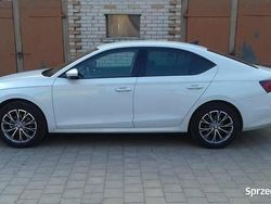 Używany 2020 Skoda Octavia | 86 950 zł (Drogi)