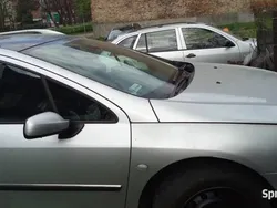 Używany 2004 Peugeot 407 | 2500 zł (Dobra cena)