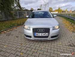 Używany 2004 Audi A3 Hatchback | 6700 zł (Dobra cena)