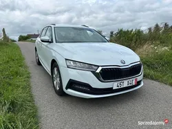 Używany 2023 Skoda Octavia | 84 500 zł (Uczciwa cena)