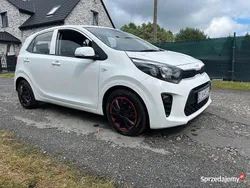 Używany 2023 Kia Picanto Hatchback | 57 000 zł (Drogi)