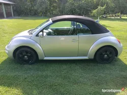 VW Beetle