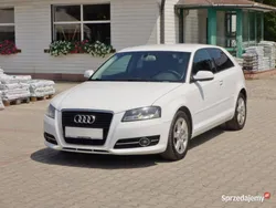 Biały Używany 2012 Audi A3 Hatchback | 23 900 zł (Uczciwa cena)
