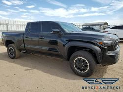 Czarny Używany 2025 Toyota Tacoma Pickup | 141 910 zł