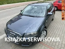 Szary Używany 2008 Audi A3 Hatchback | 17 500 zł (Uczciwa cena)