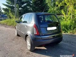 Inny kolor Używany 2008 Lancia Musa Minivan | 14 000 zł