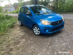 Używany 2019 Suzuki Celerio | 17 000 zł