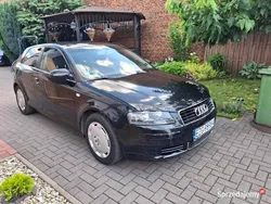 Używany 2003 Audi A3 | 4999 zł (Super Cena)