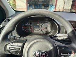 Szary Używany 2021 Kia Picanto Hatchback | 61 000 zł (Dość drogi)