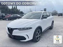 Biały Nowe 2025 Alfa Romeo Sprint Sprint Coupe | 169 900 zł