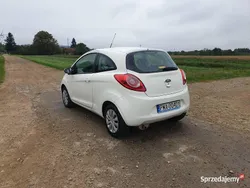 Biały Używany 2012 Ford Ka Hatchback | 12 700 zł (Uczciwa cena)