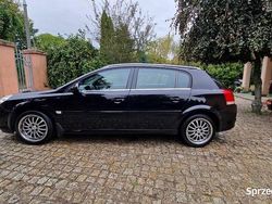 Czarny Używany 2006 Opel Signum Kombi | 8990 zł (Uczciwa cena)