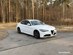 Używany 2017 Alfa Romeo Giulia | 89 000 zł