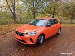 Używany 2019 Opel Corsa | 35 000 zł (Dość drogi)