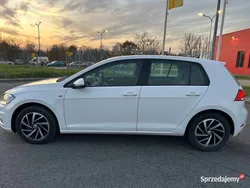 Biały Używany 2019 VW Golf VII Hatchback | 48 700 zł (Dobra cena)