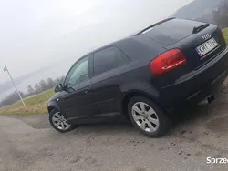 Czarny Używany 2005 Audi A3 Ambiente Hatchback | 9000 zł (Uczciwa cena)