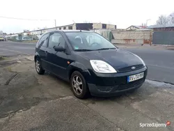 Granatowy Używany 2004 Ford Fiesta Hatchback | 2999 zł (Uczciwa cena)