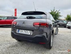 Szary Używany 2018 Citroën C4 Cactus Hatchback | 39 900 zł (Uczciwa cena)
