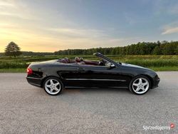 Używany 2004 Mercedes CLK500 | 48 900 zł