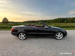 Używany 2004 Mercedes CLK500 | 69 999 zł